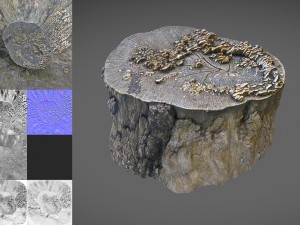 tree stump with mushrooms Modello 3D