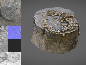 tree stump with mushrooms Modello 3D