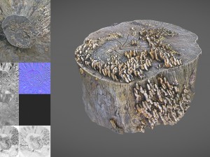 tree stump with mushrooms Modello 3D