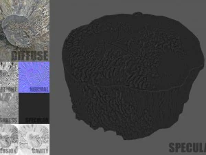 tree stump with mushrooms 3D Model