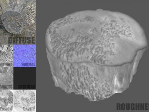 tree stump with mushrooms 3D Model