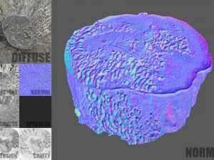 tree stump with mushrooms 3D Model