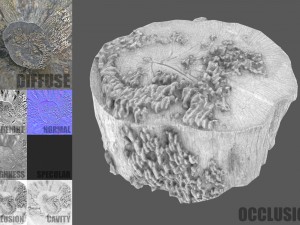 tree stump with mushrooms Modello 3D