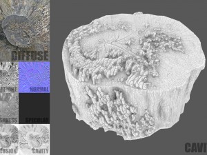 tree stump with mushrooms Modello 3D