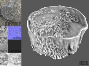 tree stump with mushrooms Modello 3D