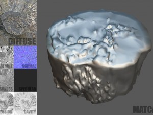 tree stump with mushrooms Modello 3D