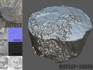 tree stump with mushrooms Modello 3D