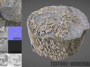tree stump with mushrooms Modello 3D