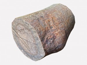 log Modello 3D