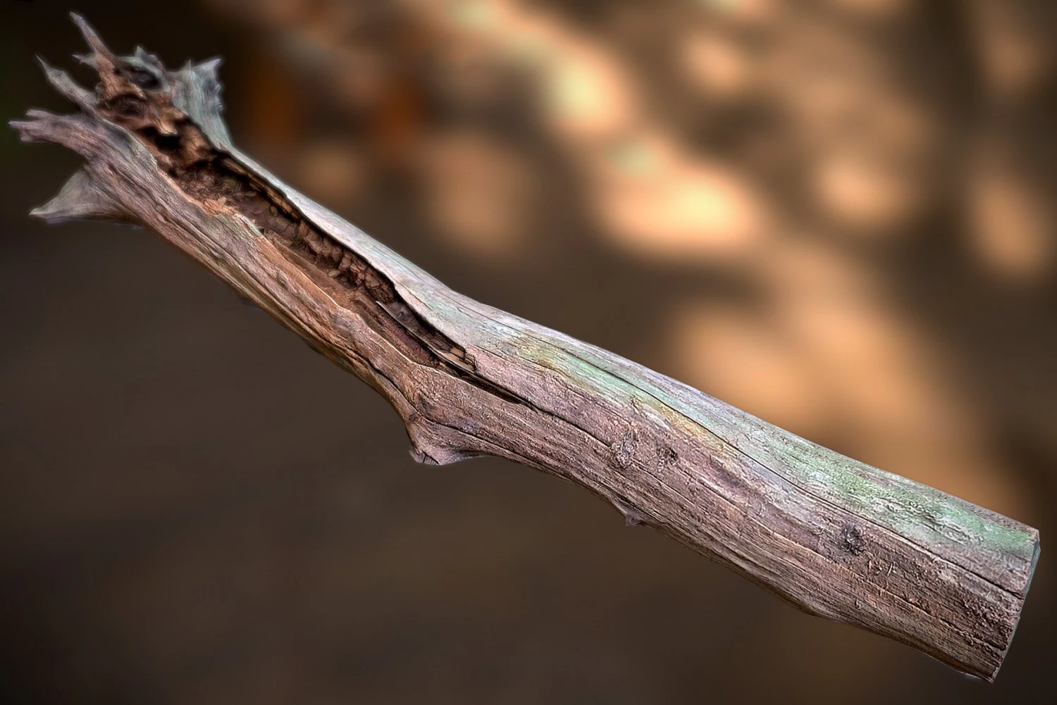 dead tree 3D Model .c4d .max .obj .3ds .fbx .stl .blend