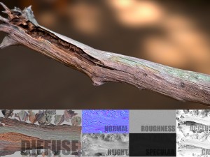 dead tree 3D Модель