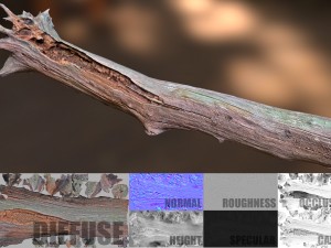 dead tree 3D Модель