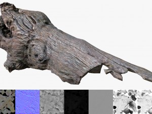 dead tree Model 3D