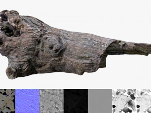 dead tree Model 3D