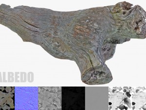dead tree Model 3D
