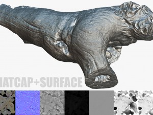 dead tree Model 3D