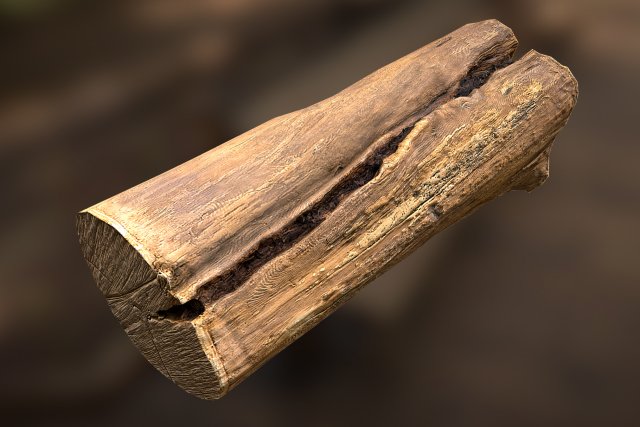 tree log Modèle 3D .c4d .max .obj .3ds .fbx .stl .blend 
