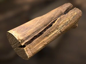 tronco de árvore Modelo 3D