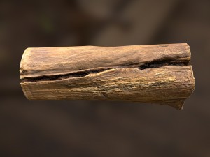 tree log Modèle 3D