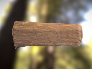 tree log Modèle 3D