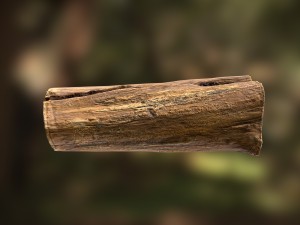 tree log Modèle 3D