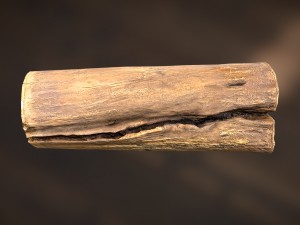 tree log Modèle 3D