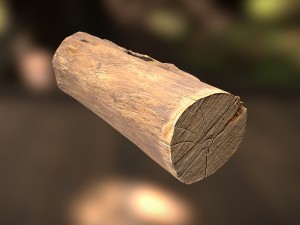 tree log Modèle 3D