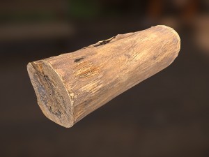 tree log Modèle 3D