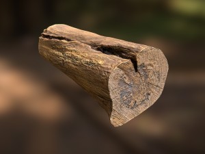 tree log Modèle 3D