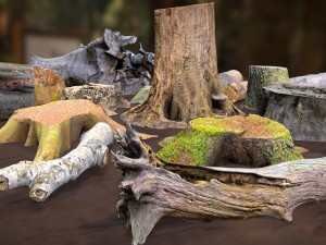 forest elements 3D 模型