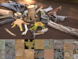 forest elements 3D 模型