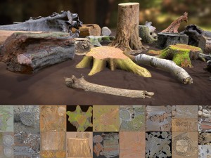 forest elements 3D 模型