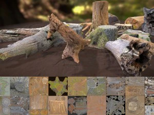 forest elements 3D Model