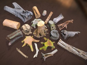 forest elements 3D 模型