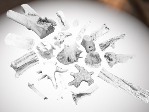 forest elements 3D 模型