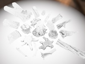 forest elements 3D 模型