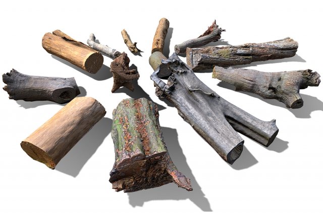 13 tree logs 3D 模型 .c4d .max .obj .3ds .fbx .stl .blend 