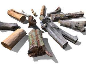 13 tree logs Modello 3D