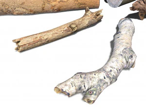 13 tree logs 3D Model