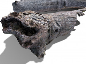 13 tree logs 3D 模型