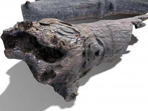 13 tree logs 3D Model