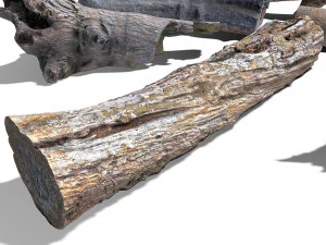 13 tree logs 3D Model