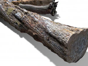 13 tree logs 3D Model