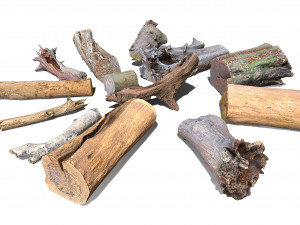 13 tree logs 3D 模型