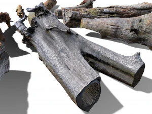 13 tree logs 3D Model