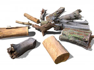 13 tree logs 3D Model