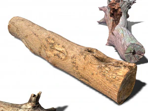 13 tree logs 3D Model