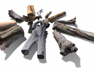 13 tree logs 3D 模型