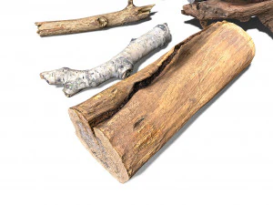 13 tree logs 3D Model