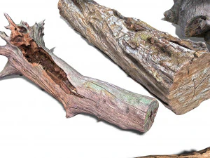 13 tree logs 3D Model